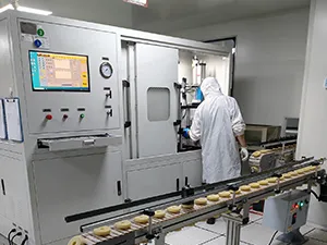 กำลังการผลิตและข้อกำหนดด้านสิ่งแวดล้อม